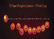 China Customized Fairy Paper Ball String Lights Paper Lanterns for outdoor / Indoor Wedding exporter