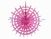 Tissue Paper Fans For Weddings , 12 Inch Fuchsia , Pink Paper Hanging Fans For Window Dressing supplier