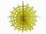 Folded 12 Inch Lime , Yellow / Lime Hanging Paper Fans For Spring Parties Decoration supplier